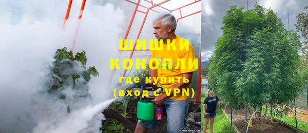 мет Абаза