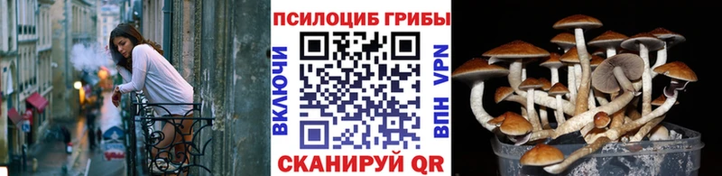 ОМГ ОМГ рабочий сайт  купить   Ханты-Мансийск  Псилоцибиновые грибы Psilocybine cubensis 